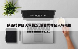 陕西碑林区天气情况,陕西碑林区天气预报