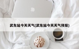 武东站今天天气(武东站今天天气预报)