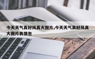 今天天气真好风真大图片,今天天气真好风真大图片表情包