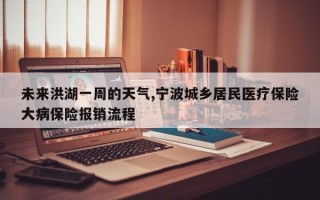 未来洪湖一周的天气,宁波城乡居民医疗保险大病保险报销流程
