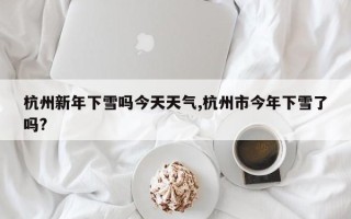 杭州新年下雪吗今天天气,杭州市今年下雪了吗?