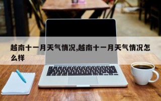 越南十一月天气情况,越南十一月天气情况怎么样