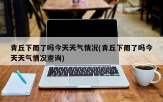 青丘下雨了吗今天天气情况(青丘下雨了吗今天天气情况查询)
