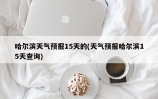 哈尔滨天气预报15天的(天气预报哈尔滨15天查询)