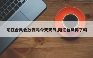 阳江台风会放假吗今天天气,阳江台风停了吗