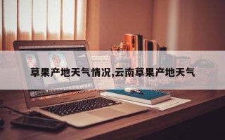 草果产地天气情况,云南草果产地天气