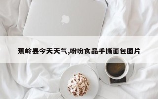 蕉岭县今天天气,盼盼食品手撕面包图片