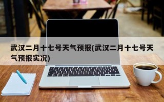 武汉二月十七号天气预报(武汉二月十七号天气预报实况)
