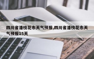 四川省潘枝花市天气预报,四川省潘枝花市天气预报15天
