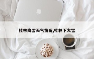 桂林降雪天气情况,桂林下大雪