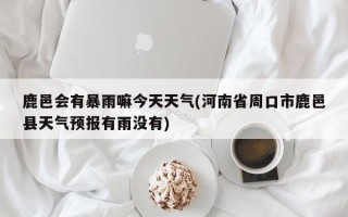 鹿邑会有暴雨嘛今天天气(河南省周口市鹿邑县天气预报有雨没有)