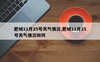 肥城11月25号天气情况,肥城11月25号天气情况如何