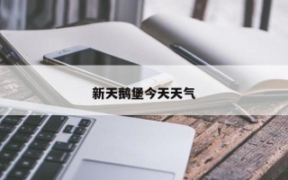 新天鹅堡今天天气