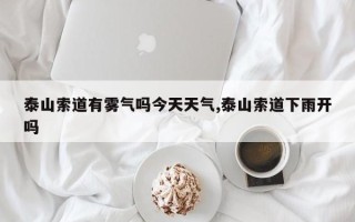泰山索道有雾气吗今天天气,泰山索道下雨开吗