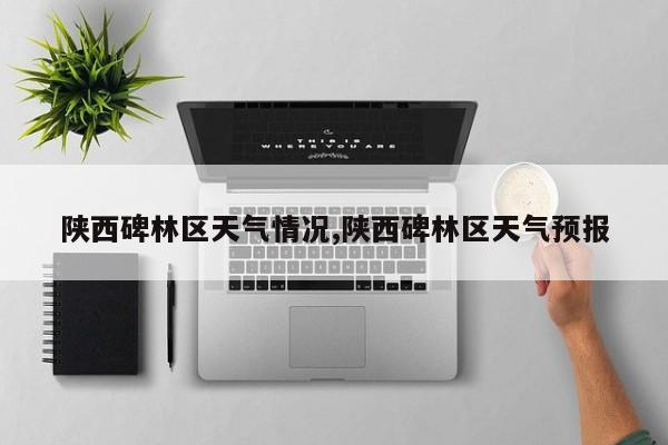陕西碑林区天气情况,陕西碑林区天气预报 第1张