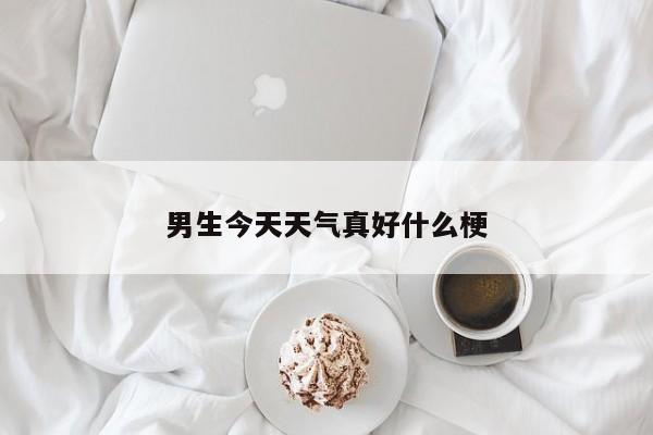 男生今天天气真好什么梗 第1张