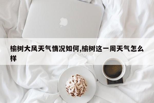 榆树大风天气情况如何,榆树这一周天气怎么样 第1张