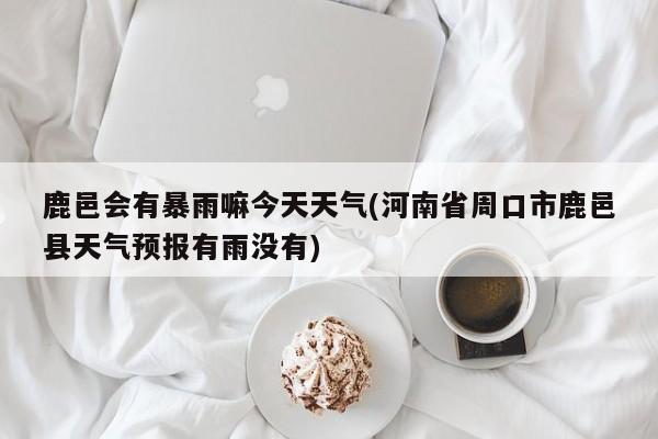 鹿邑会有暴雨嘛今天天气(河南省周口市鹿邑县天气预报有雨没有) 第1张