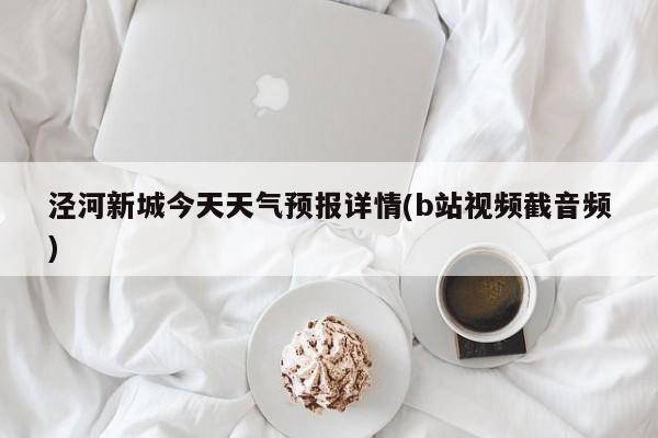 泾河新城今天天气预报详情(b站视频截音频) 第1张