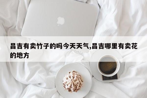 昌吉有卖竹子的吗今天天气,昌吉哪里有卖花的地方 第1张