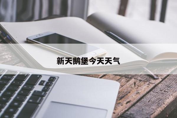 新天鹅堡今天天气 第1张