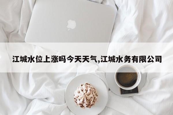 江城水位上涨吗今天天气,江城水务有限公司 第1张