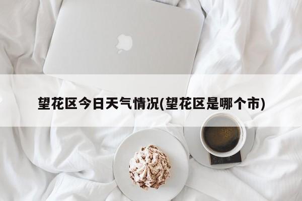 望花区今日天气情况(望花区是哪个市) 第1张