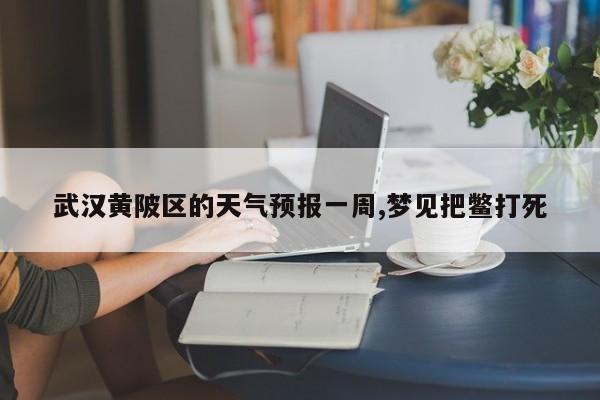 武汉黄陂区的天气预报一周,梦见把鳖打死 第1张