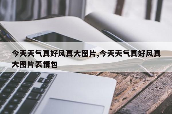 今天天气真好风真大图片,今天天气真好风真大图片表情包 第1张