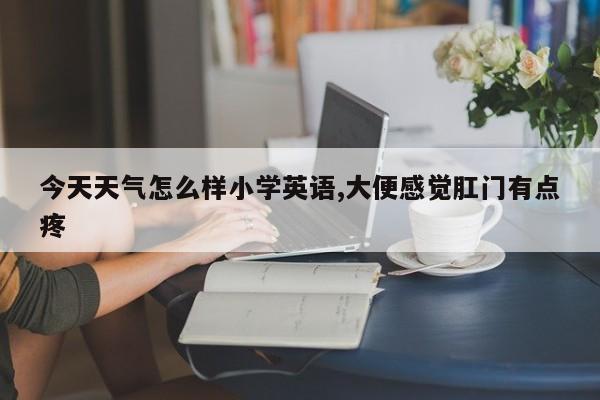 今天天气怎么样小学英语,大便感觉肛门有点疼 第1张