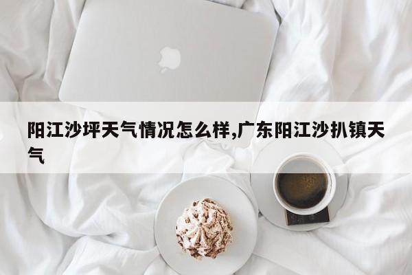 阳江沙坪天气情况怎么样,广东阳江沙扒镇天气 第1张
