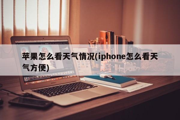 苹果怎么看天气情况(iphone怎么看天气方便) 第1张