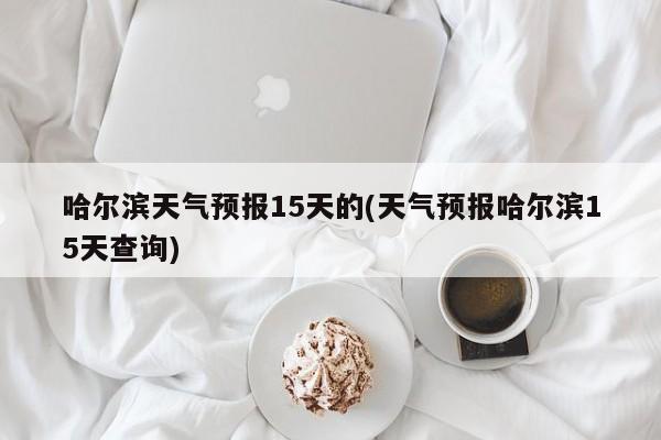 哈尔滨天气预报15天的(天气预报哈尔滨15天查询) 第1张