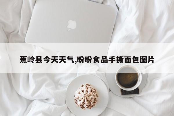蕉岭县今天天气,盼盼食品手撕面包图片 第1张